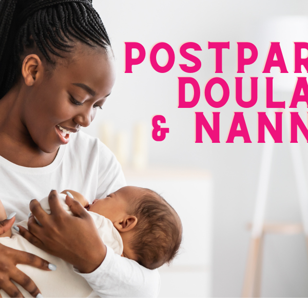 Postpartum Doulas and Nannies in Des Moines Central Iowa